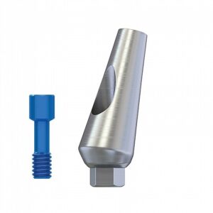 Standard Angular Abutment 15° Titanium Internal Hex (SP)