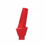 Angular Anatomic Plastic Abutment 15° Internal Hex (SP) - Image 3