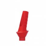 Angular Anatomic Plastic Abutment 15° Internal Hex (SP) - Image 4