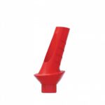Angular Anatomic Plastic Abutment 25° Internal Hex (SP) - Image 5
