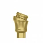 Angular Titanium Locator Attachment Concave 18° Premium Set + 4 Sillicone + Metal Cap + Protective Disc Internal Hex (SP) - Image 4