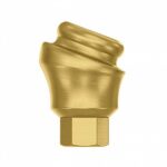 Angular Titanium Locator Attachment Concave 18° Premium Set + 4 Sillicone + Metal Cap + Protective Disc Internal Hex (SP) - Image 5