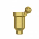 Angular Titanium Ball Attachment 40° Premium Set + 1 Sillicone + Metal Cap + Protective Disc Internal Hex (SP) - Image 4