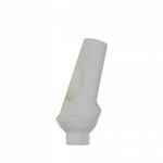 Angular Anatomic Peek Abutment 15° Internal Hex (SP) - Image 5