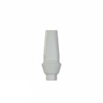 Straight Anatomic Peek Abutment Internal Hex (SP) - Image 4