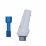 Angular Anatomic Zirconia Abutment 15°Titanium Internal Hex (SP)