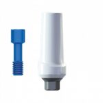 Straight Anatomic Zirconia Abutment Titanium Internal Hex (SP)
