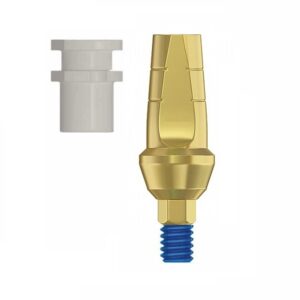 Straight Titanium Transfer with Plastic 2.42 Internal Hex (SP)