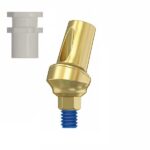 Angular Concave Titanium Transfer 15° With Plastic 2.42 Internal Hex (SP)