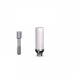 Chrome Cobalt Base Anti-Rotation Internal Hex (SP)