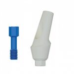 Angular Anatomic Peek Abutment 15° Internal Hex (SP)