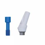 Angular Anatomic Zirconia Abutment 25° Titanium Internal Hex (SP)
