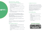 AMG® Dental Implant ®V7 Line – Conical Connection Implant System RP - Image 5