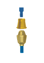 Straight Multi-Unit Abutment + Titanuim Base For Multi Unit - Internal Hex - Image 2
