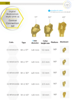 AMG Angular Multi-Unit Abutment  - ®V7 NP implant - Conical Connection - Image 2