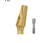 Standard Angular Abutment 15° - Conical Connection (NP)