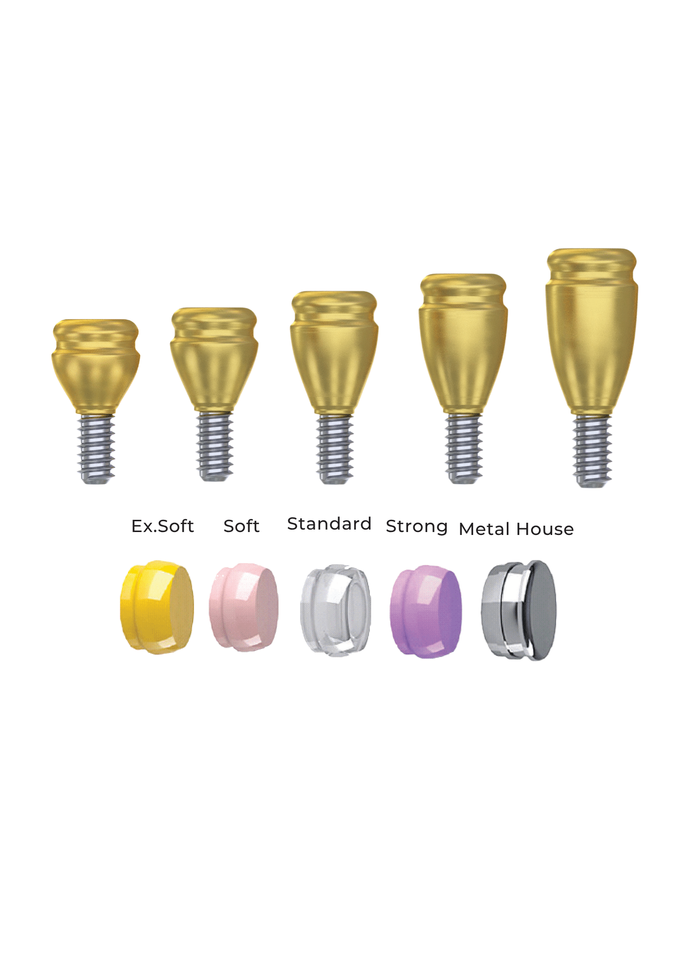עותק של amg_catalog 2026.pdf - 2026-06-10T144728.491 Straight Titanium LocKit Attachment Premium Set + 4 Sillicone + Metal Cap + Protective Disc - Conical Connection (NP) - Image 1