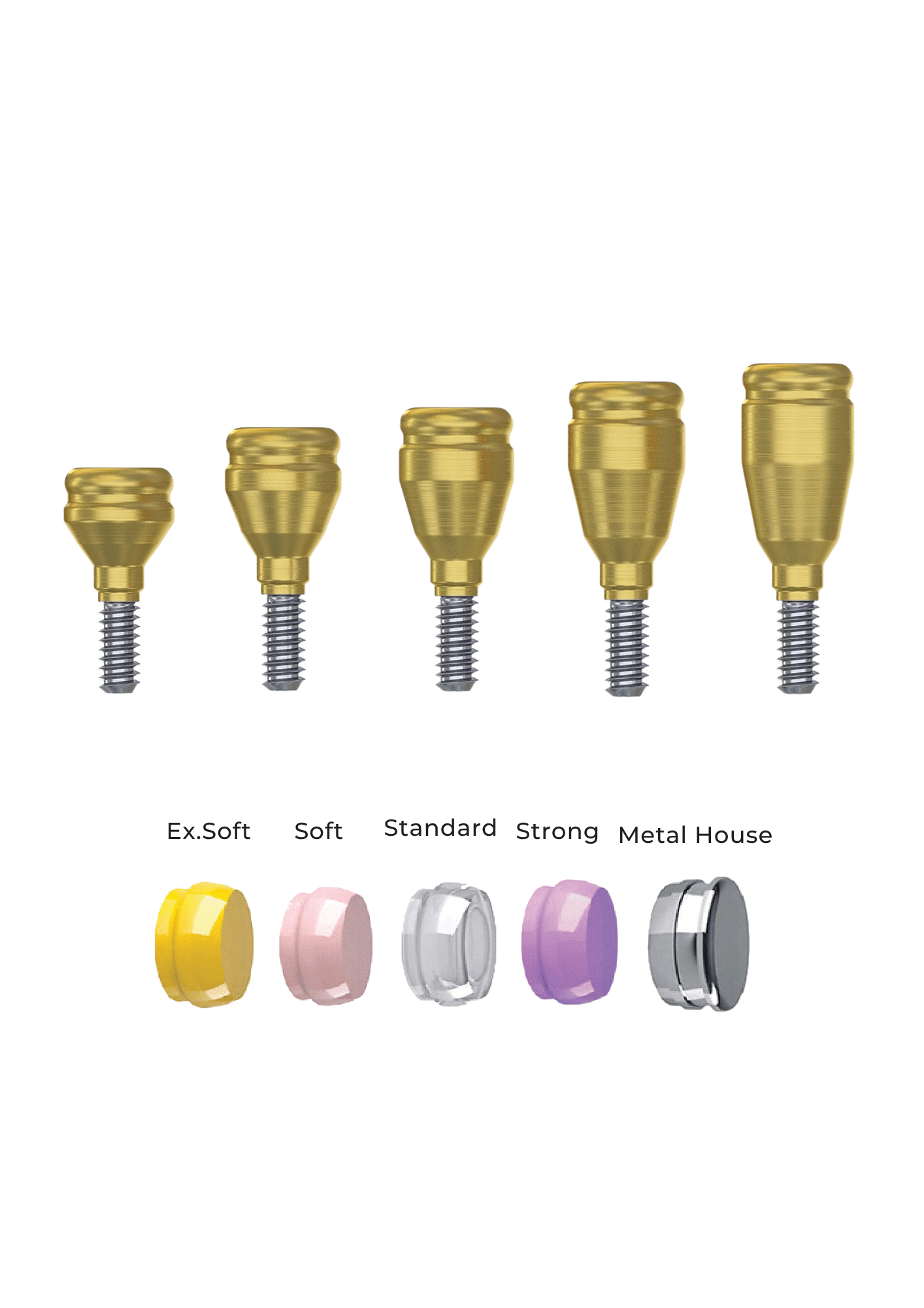 עותק של amg_catalog 2026.pdf - 2026-07-01T121137.658 Straight Titanium LocKit Attachment Premium Set + 4 Sillicone + Metal Cap + Protective Disc - Conical Connection (RP) - Image 1