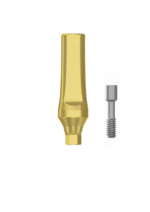 Straight Abutment Titanium - Conical Connection (RP) - Image 3