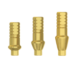 Straight Anatomic Abutment Titanium - Conical Connection (NP)