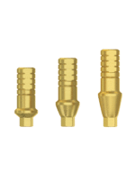 Straight Anatomic Abutment Titanium - Conical Connection (NP)