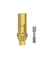 Straight Anatomic Abutment Titanium - Conical Connection (NP) - Image 2