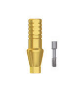 Straight Anatomic Abutment Titanium - Conical Connection (RP) - Image 2