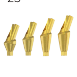 Anatomic Angular Abutment 25° - Conical Connection (NP)