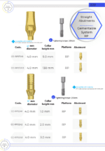 Straight Anatomic Abutment Titanium - Conical Connection (RP) - Image 5